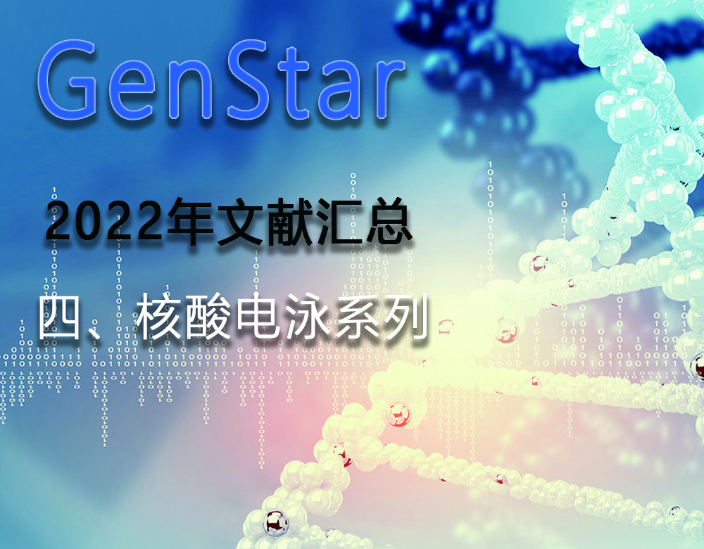 GenStar 2022年文獻(xiàn)匯總（四、核酸電泳系列）